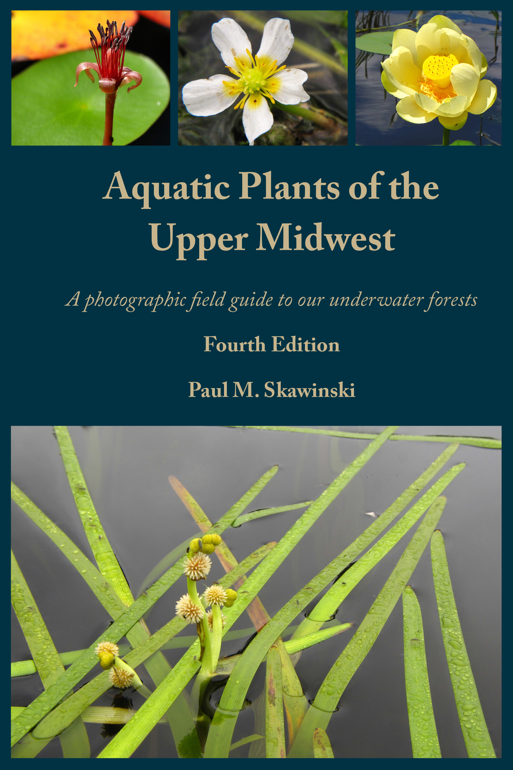Native Aquatic Plant Monitoring Extension Lakes UWSP